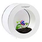LiveAquaria® Betta Aquarium Kit Orbi White